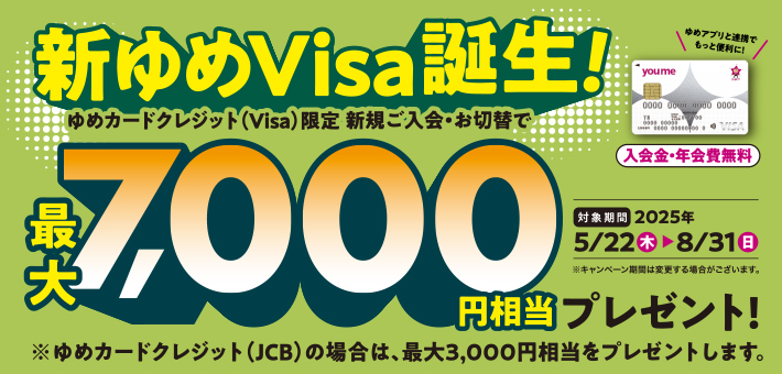 20250522_0831_VisaCP