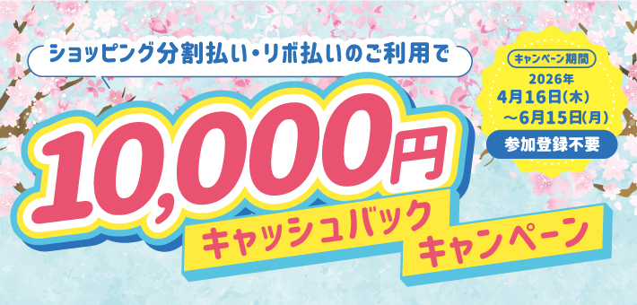 �������{�L���b�V���o�b�N�L�����y�[��