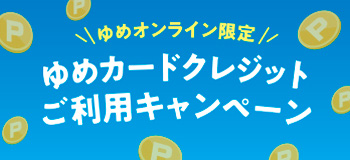 ��߃I�����C�������߃J�[�h�N���W�b�g�����p�L�����y�[��