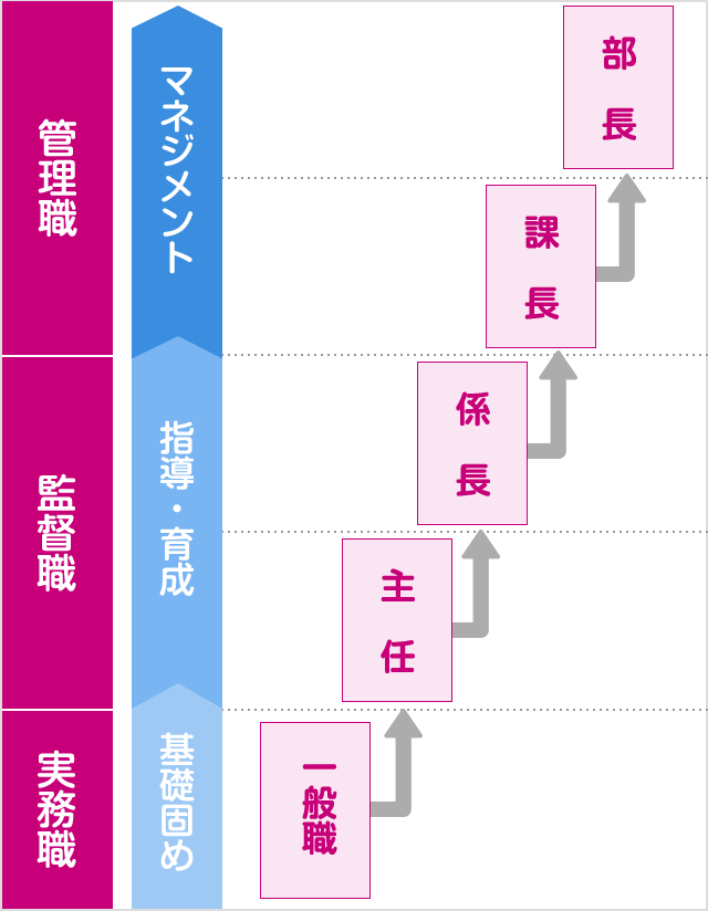人事制度の仕組み